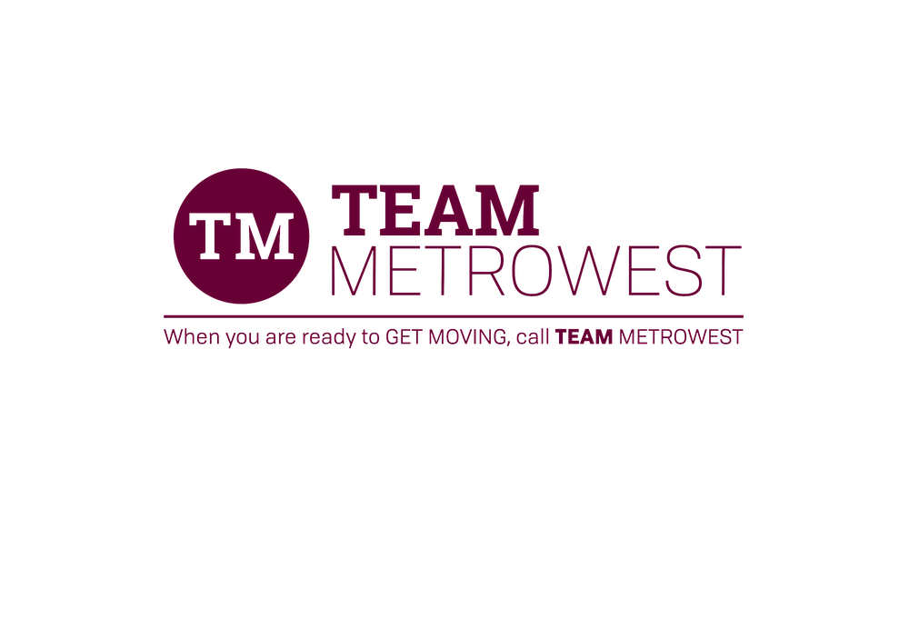 TEAM Metrowest logo